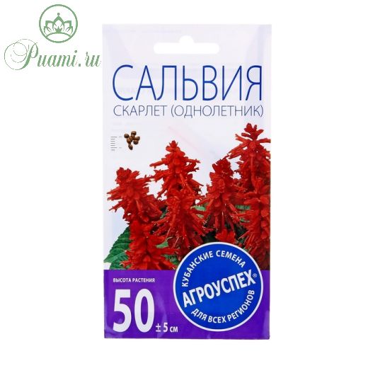 Семена цветов Сальвия Скарлет, О, 0,1г