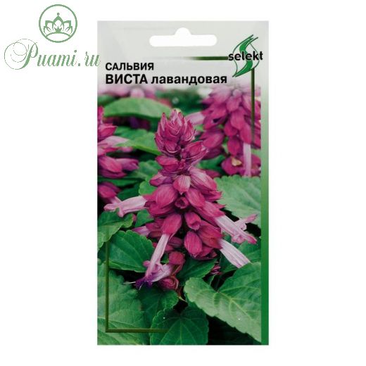 Семена цветов  Сальвия "Виста", лавандовая, 10 шт