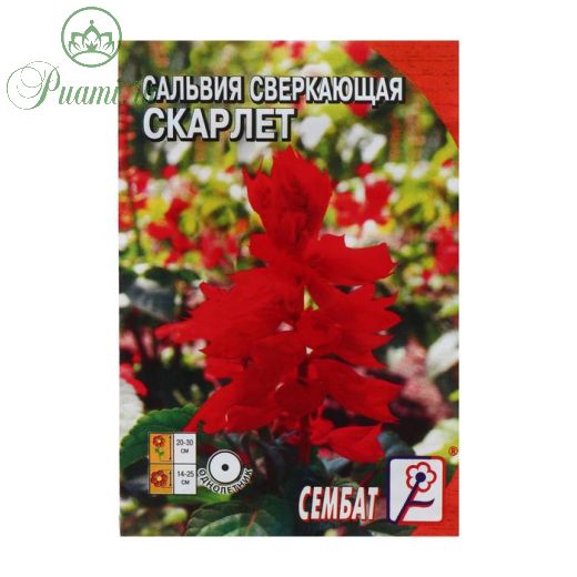 Семена цветов Сальвия сверкающая "Скарлет",  0,05 г