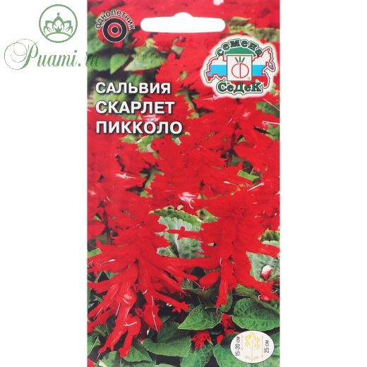 Семена цветов Сальвия "Скарлет Пикколо" 0,1г