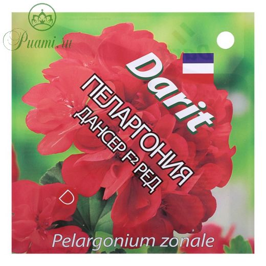 Семена цветов Пеларгония "Дансер" F2 Ред, Мн, DARIT  4 шт