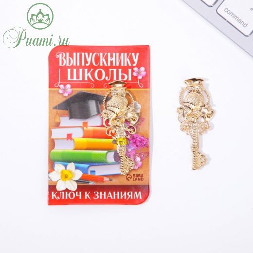 Ключ на открытке «Выпускнику школы», 5,1 х 8,2 см