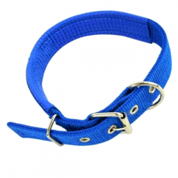 Ошейник для собак, 20-35 х 2,5 см, цвет Синий
