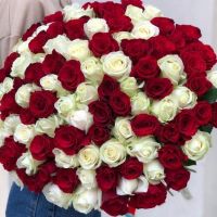 101 красная и белая роза