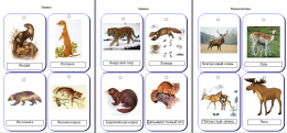 Мир-карточки электронные "Животные". Карточки развивающие, цветные, для детей от 0 лет.