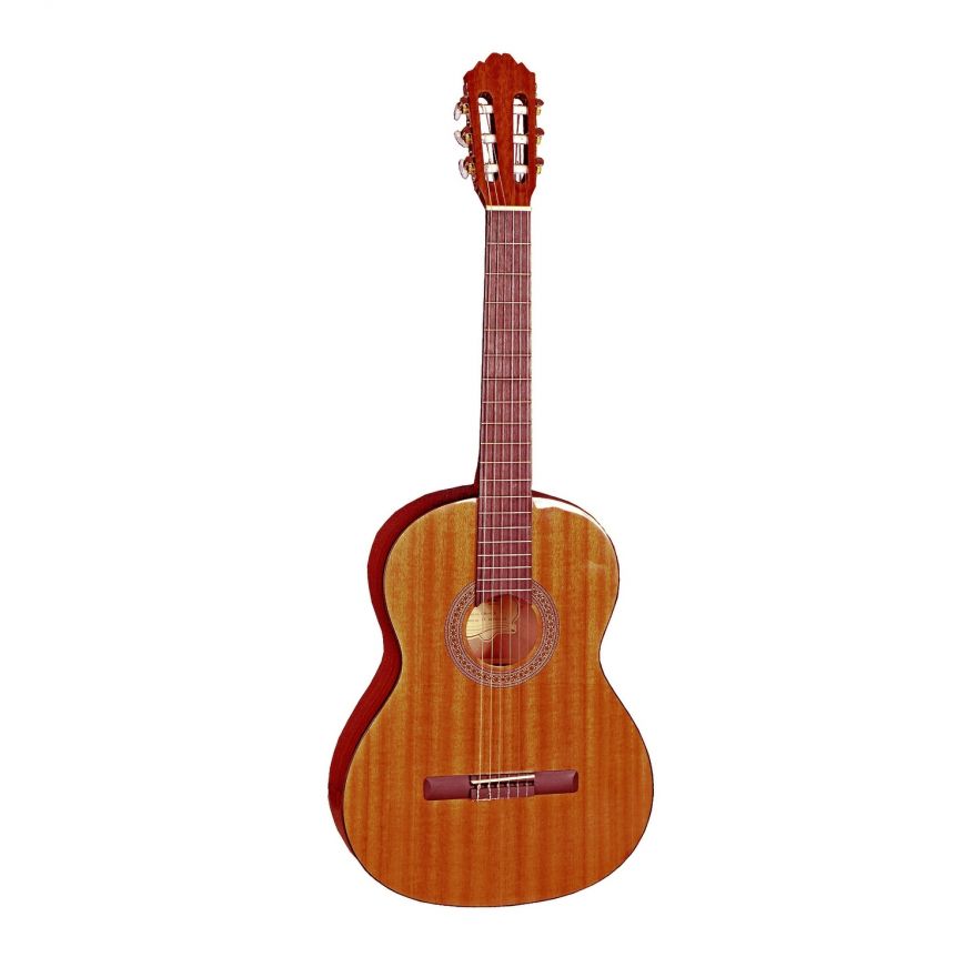 SAMICK CNG-1/N гитара