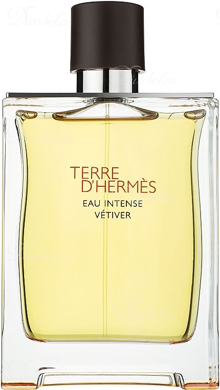 Hermes Terre d'Hermes Eau Intense Vetiver 100 ml