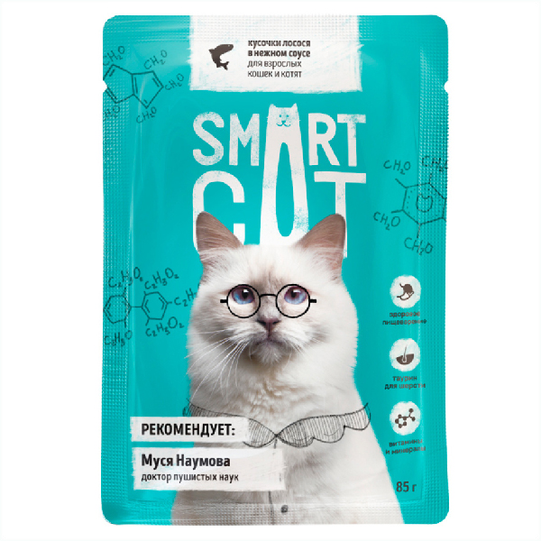 Влажный корм для кошек Smart Cat кусочки в соусе с лососем 85 гр