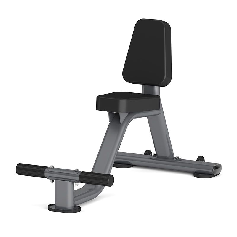 Олимпийский стул Insight Fitness DR024B