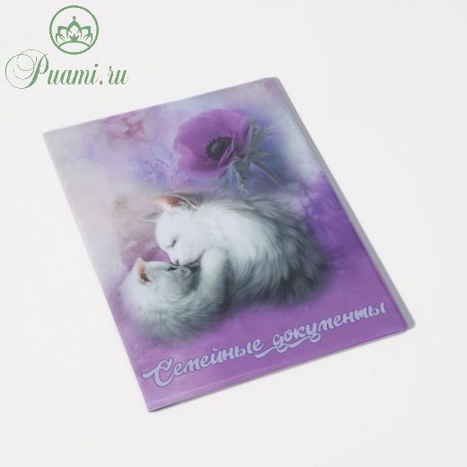 Папка для семейных документов, 2 комплекта, цвет сиреневый