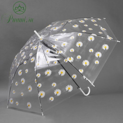 Зонт - трость полуавтоматический «Ромашка», 8 спиц, R = 47 см, цвет прозрачный/белый