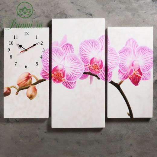 Часы настенные, модульные, серия: Цветы, "Розовые цветки орхидеи", 60х80 см, микс