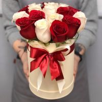17 бело-красных роз в шляпной коробке