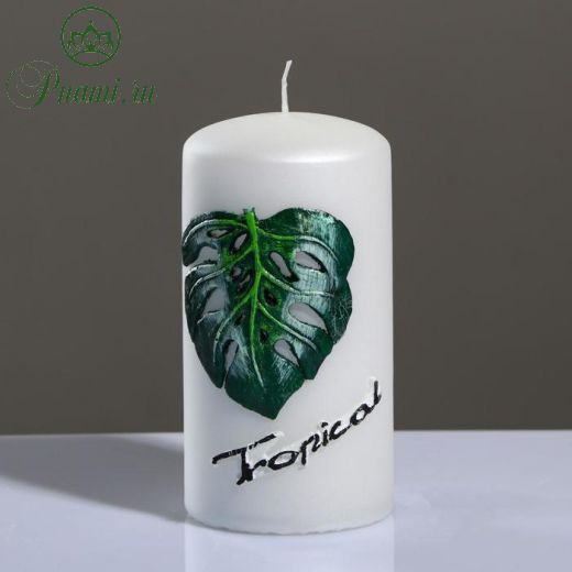 Свеча - цилиндр "Tropical", 6?11,5 см, жемчужный белый