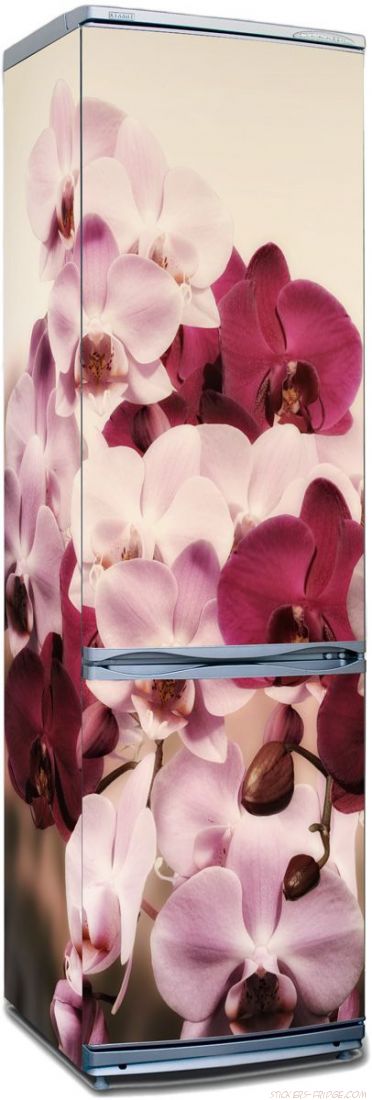 наклейка на холодильник - Картинка с орхидеями