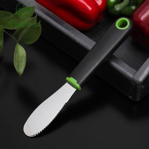 Нож для масла Lime, 20?3 см, цвет чёрно-зелёный