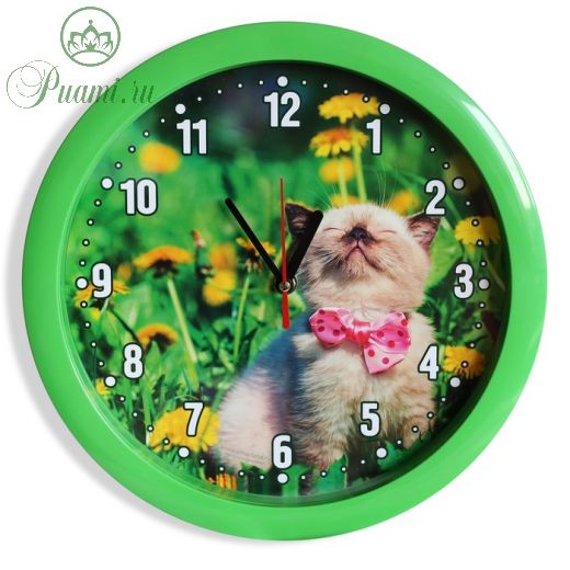 Часы настенные "Котёнок", зелёный обод, 28х28 см, микс