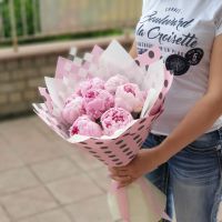 7 розовых пионов Сара Бернар
