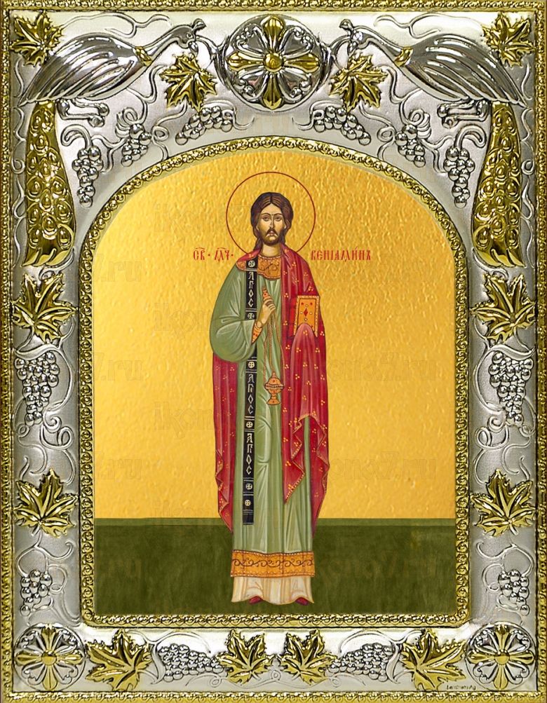 Икона Вениамин Персидский священномученик (14х18)
