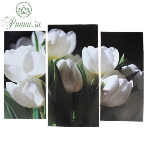 Модульная картина "Белые тюльпаны"  (2-25х52; 1-30х60) 60х80 см