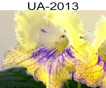 UA-2013 (Склярова)