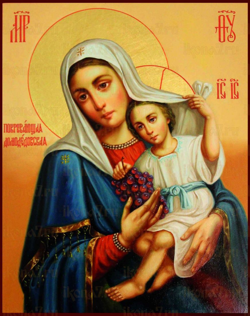 Домодедовская (Покрывающая) икона Божией Матери
