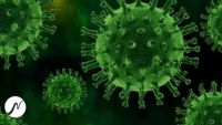 Укрепление иммунной системы и регенерация клеток (neowake Biofrequencies)