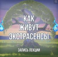 [Серебряное Пламя] Запись лекции 'Из жизни экстрасенсов' (Георгий Оболенский)