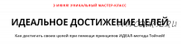 Идеальное достижение целей. Пакет - Делатель (Андрей Цыганков)