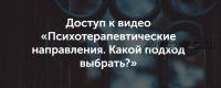 Психотерапевтическое направление. Какой подход выбрать? (Вероника Степанова)