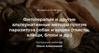 Фитотерапия и другие альтернативные методы против паразитоза собак и кошек (Ольга Алексеева)