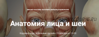 Кадавер-курс 'Анатомия лица и шеи' (Михаил Касаткин, Екатерина Кюршева)