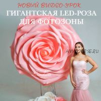 Гигантская Led-роза для фотозоны (Ольга Ольнева)
