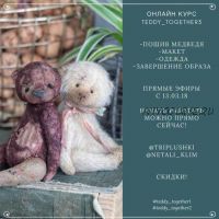Онлайн курс teddy together3 (Наталия Климова, Клонингер)