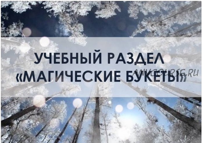 [You Russia] Магический букет 'Энергия зимы' (Наталья Бартон)