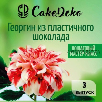 Георгин из пластичного шоколада [CakeDeco]