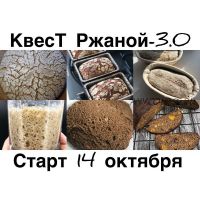 Квест Бородинский 3.0 (olga_pekarko)