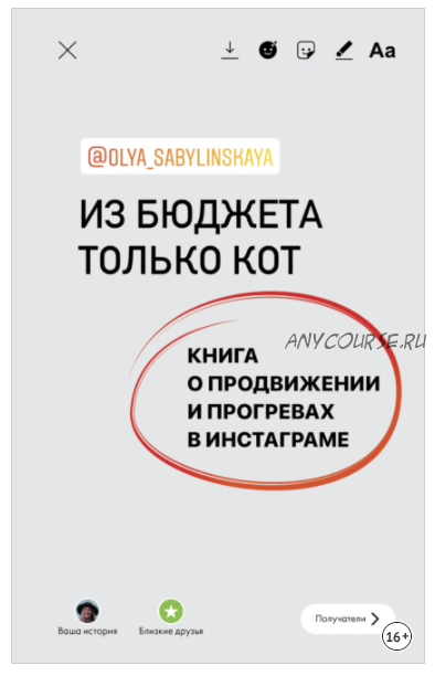 Из бюджета только кот. Книга о продвижении и прогревах в инстаграме (Оля Сабылинская)