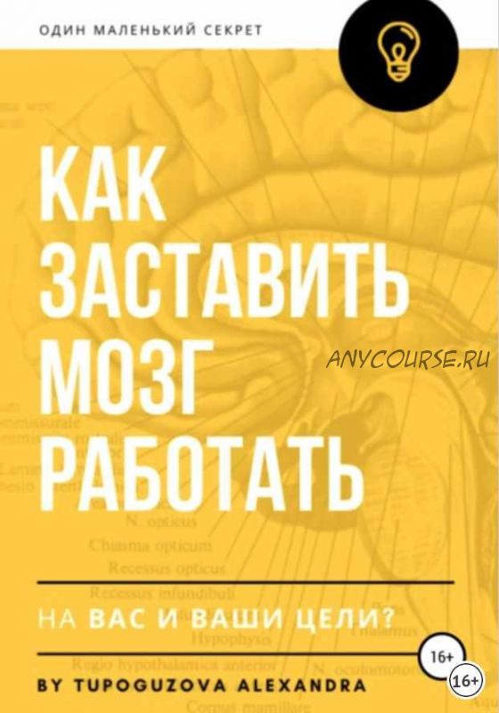 Как заставить мозг работать на вас и ваши цели (Александра Тупогузова)