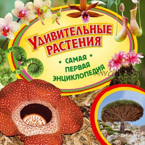 Удивительные растения (Ирина Травина)