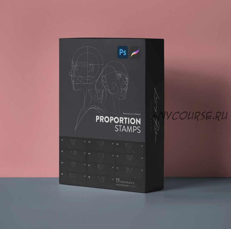 [Gumroad] 11 Proportion Stamps for Procreate & Photoshop / 11 Штампов пропорций для идеального портрета (Laura H. Rubin)