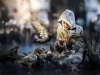 Pigeons… (Iwona Podlasi?ska) на английском