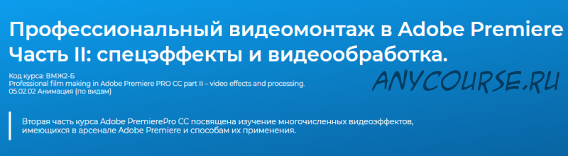 Профессиональный видеомонтаж в программе Adobe Premiere Pro CC Часть II – работа с видеоэффектами (Дмитрий Эпов)