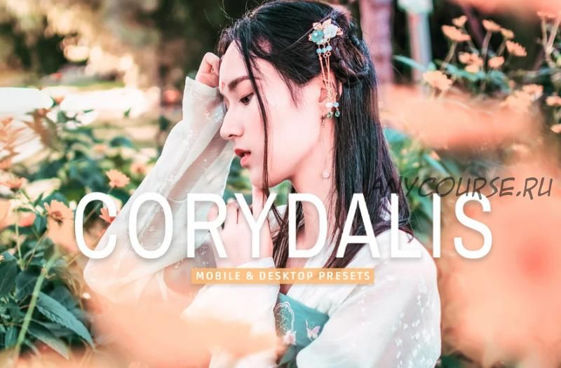 [creativemarket] Corydalis Pro Lightroom Presets (Creativetacos)