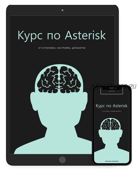 [Merion Networks] Двухнедельный онлайн курс по Asterisk (Мерион Нетворкс)