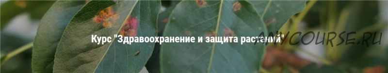 [Умный Садовник] Здравоохранение и защита растений. Единый тариф (Дмитрий Звонка)
