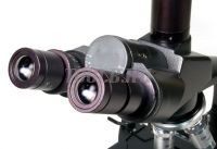 Levenhuk D670T Микроскоп цифровой фото