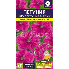 Фриллитуния Роуз F1/Сем Алт/ Низкорослые гиганты