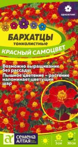 Бархатцы Красный Самоцвет тонколистн. (Сем Алт)