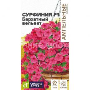 Сурфиния Бархатный Вельвет F1 (Сем Алт)